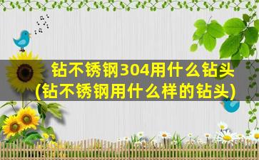 钻不锈钢304用什么钻头(钻不锈钢用什么样的钻头)