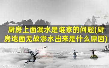 厨房上面漏水是谁家的问题(厨房地面无故渗水出来是什么原因)