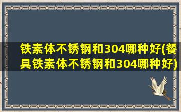 铁素体不锈钢和304哪种好(餐具铁素体不锈钢和304哪种好)