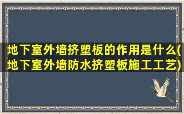 地下室外墙挤塑板的作用是什么(地下室外墙防水挤塑板施工工艺)