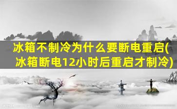 冰箱不制冷为什么要断电重启(冰箱断电12小时后重启才制冷)