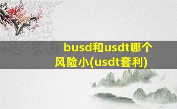 busd和usdt哪个风险小(usdt套利)