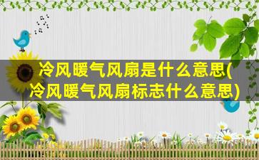 冷风暖气风扇是什么意思(冷风暖气风扇标志什么意思)