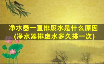 净水器一直排废水是什么原因(净水器排废水多久排一次)