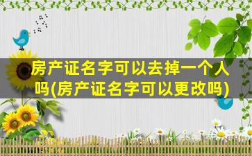 房产证名字可以去掉一个人吗(房产证名字可以更改吗)
