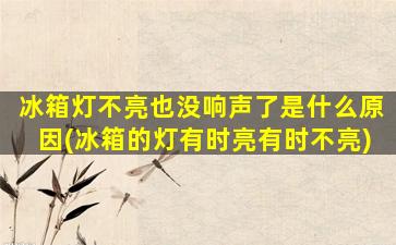冰箱灯不亮也没响声了是什么原因(冰箱的灯有时亮有时不亮)