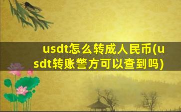 usdt怎么转成人民币(usdt转账警方可以查到吗)
