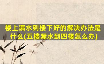 楼上漏水到楼下好的解决办法是什么(五楼漏水到四楼怎么办)