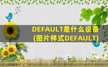 DEFAULT是什么设备(图片样式DEFAULT)