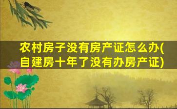 农村房子没有房产证怎么办(自建房十年了没有办房产证)