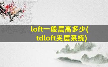 loft一般层高多少(tdloft夹层系统)