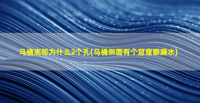 马桶底部为什么2个孔(马桶侧面有个窟窿眼漏水)