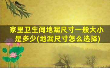 家里卫生间地漏尺寸一般大小是多少(地漏尺寸怎么选择)