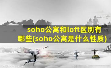 soho公寓和loft区别有哪些(soho公寓是什么性质)
