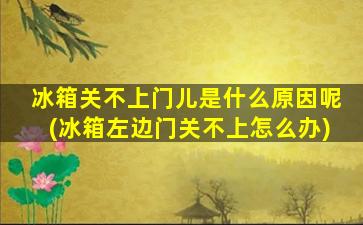 冰箱关不上门儿是什么原因呢(冰箱左边门关不上怎么办)