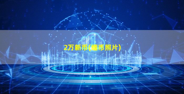 2万新币(缅币照片)
