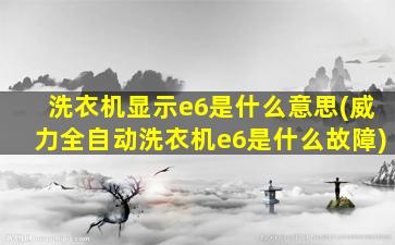 洗衣机显示e6是什么意思(威力全自动洗衣机e6是什么故障)