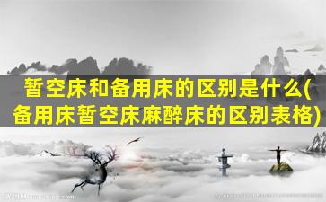 暂空床和备用床的区别是什么(备用床暂空床麻醉床的区别表格)