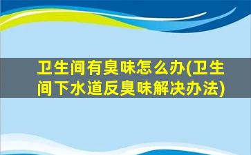 卫生间有臭味怎么办(卫生间下水道反臭味解决办法)