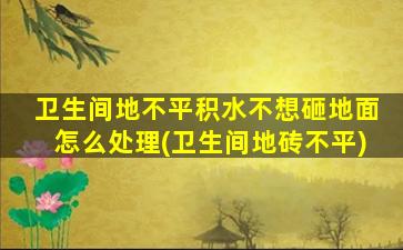 卫生间地不平积水不想砸地面怎么处理(卫生间地砖不平)