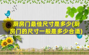 厨房门最佳尺寸是多少(厨房门的尺寸一般是多少合适)
