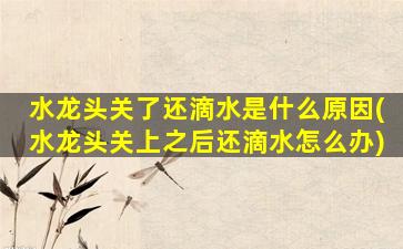 水龙头关了还滴水是什么原因(水龙头关上之后还滴水怎么办)