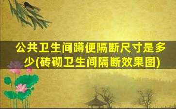 公共卫生间蹲便隔断尺寸是多少(砖砌卫生间隔断效果图)