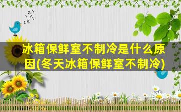 冰箱保鲜室不制冷是什么原因(冬天冰箱保鲜室不制冷)