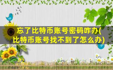 忘了比特币账号密码咋办(比特币账号找不到了怎么办)