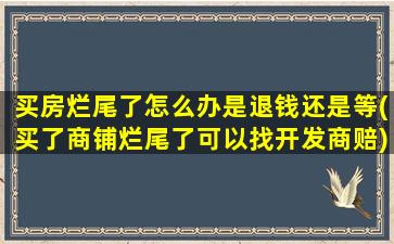 买房烂尾了怎么办是退钱还是等(买了商铺烂尾了可以找开发商赔)