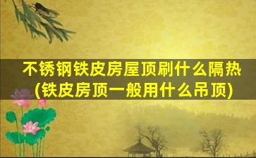不锈钢铁皮房屋顶刷什么隔热(铁皮房顶一般用什么吊顶)