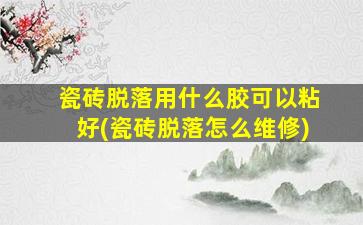 瓷砖脱落用什么胶可以粘好(瓷砖脱落怎么维修)