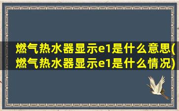 燃气热水器显示e1是什么意思(燃气热水器显示e1是什么情况)
