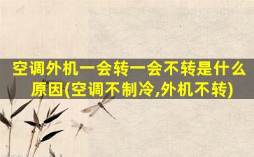空调外机一会转一会不转是什么原因(空调不制冷,外机不转)