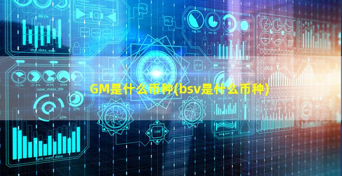 GM是什么币种(bsv是什么币种)