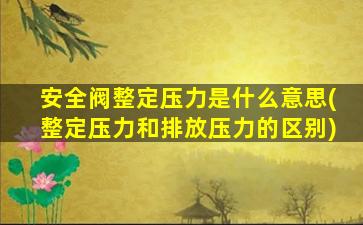 安全阀整定压力是什么意思(整定压力和排放压力的区别)