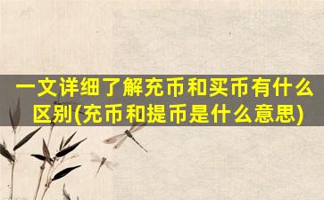 一文详细了解充币和买币有什么区别(充币和提币是什么意思)