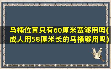 马桶位置只有60厘米宽够用吗(成人用58厘米长的马桶够用吗)