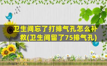 卫生间忘了打排气孔怎么补救(卫生间留了75排气孔)