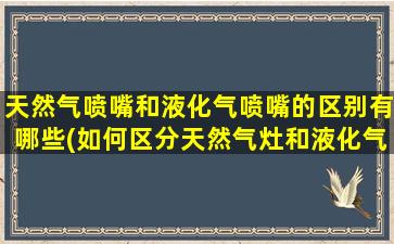 天然气喷嘴和液化气喷嘴的区别有哪些(如何区分天然气灶和液化气灶)