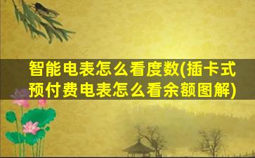智能电表怎么看度数(插卡式预付费电表怎么看余额图解)
