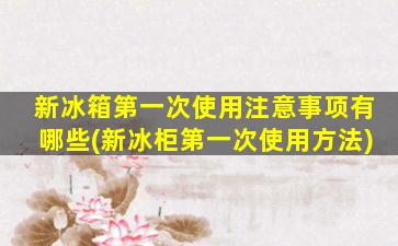 新冰箱第一次使用注意事项有哪些(新冰柜第一次使用方法)