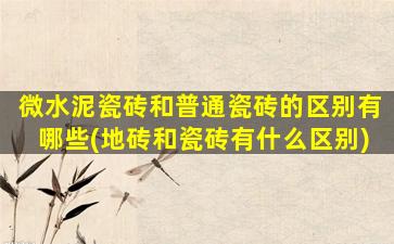 微水泥瓷砖和普通瓷砖的区别有哪些(地砖和瓷砖有什么区别)