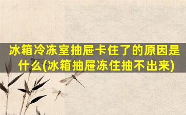 冰箱冷冻室抽屉卡住了的原因是什么(冰箱抽屉冻住抽不出来)