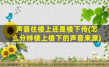 声音往楼上还是楼下传(怎么分辨楼上楼下的声音来源)