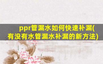 ppr管漏水如何快速补漏(有没有水管漏水补漏的新方法)