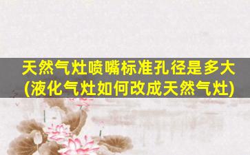 天然气灶喷嘴标准孔径是多大(液化气灶如何改成天然气灶)