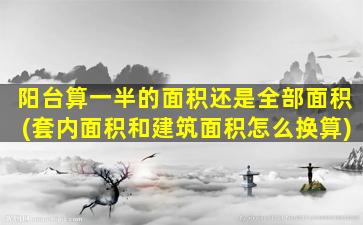 阳台算一半的面积还是全部面积(套内面积和建筑面积怎么换算)