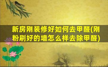 新房刚装修好如何去甲醛(刚粉刷好的墙怎么样去除甲醛)