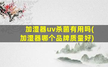 加湿器uv杀菌有用吗(加湿器哪个品牌质量好)